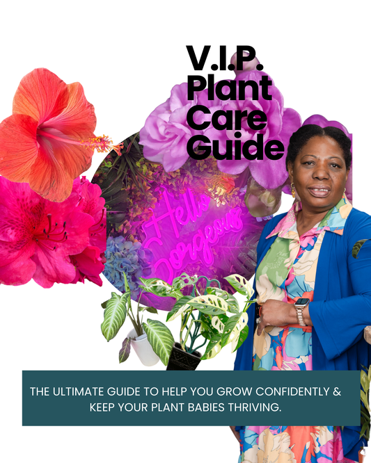 Welcome to the VIP Plant Club!